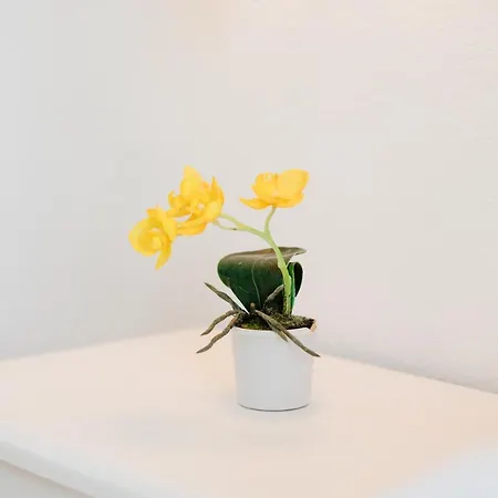 Apartment, Close To The And Sea Views, In 马尔韦利亚